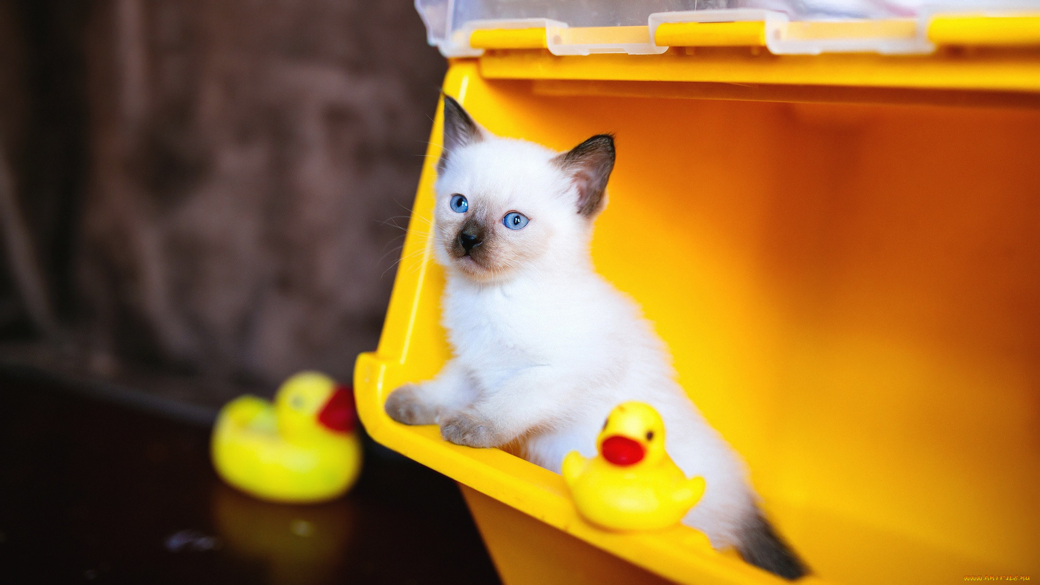 , , , , , , , , , , , , , , , , 